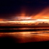 Goa Night