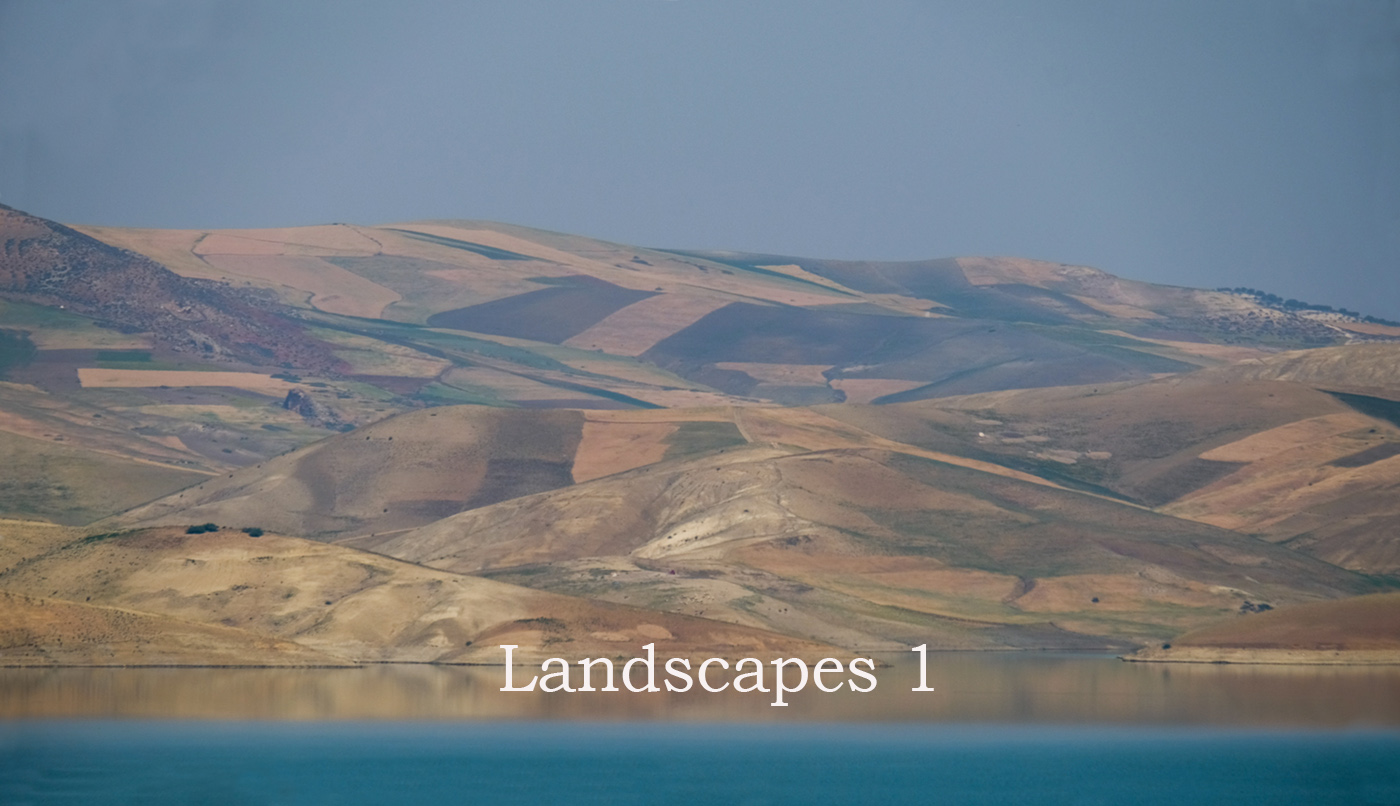 Landscapes 1