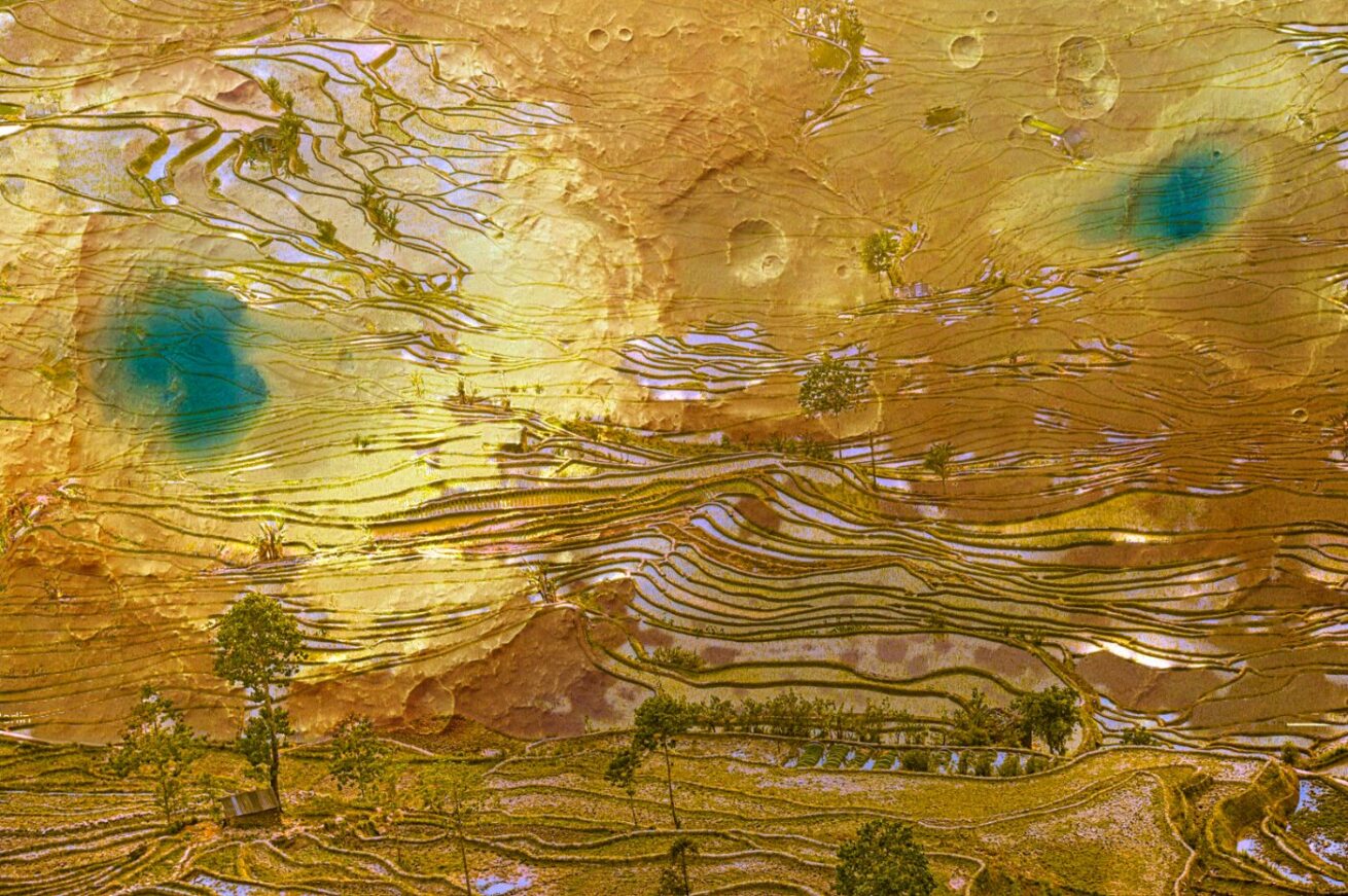 Land of Gold (2022)