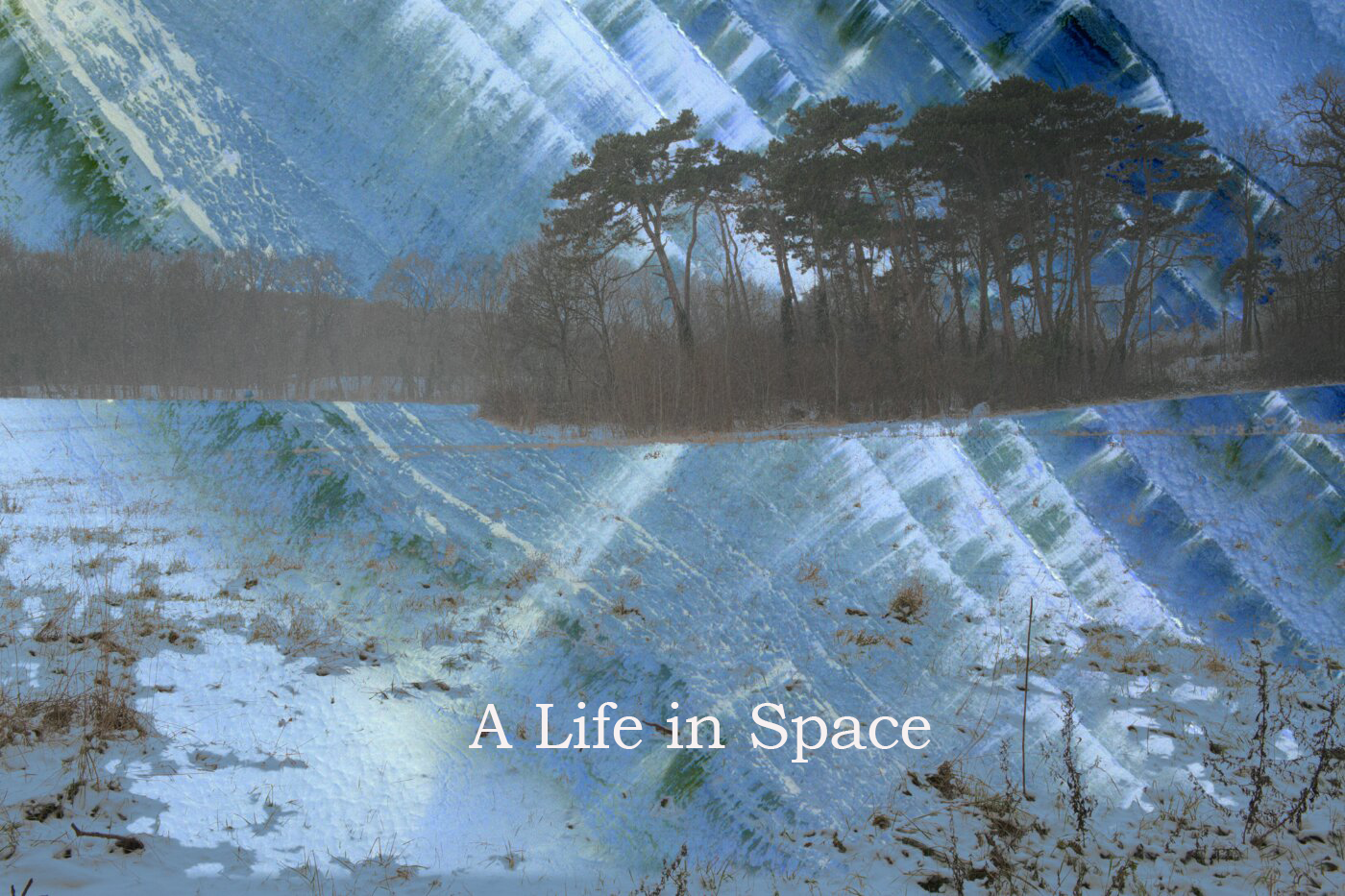 A Life in Space
