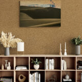 50 living-room-with-wooden-bookcase (1)